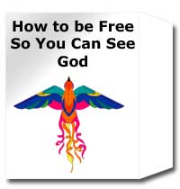 book: how to be free so you can see god