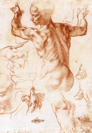 Sistine Chapel sketch (1511) by Michelangelo