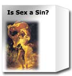 book: is sex a sin?